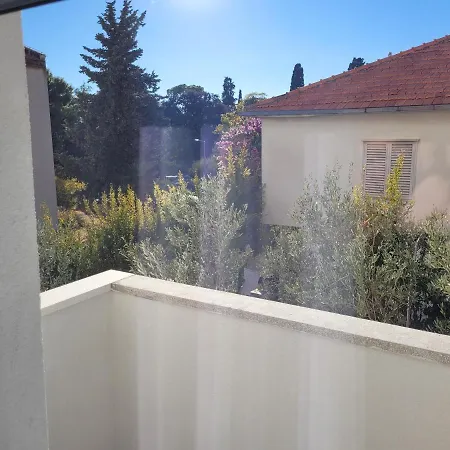 Roko * Traù